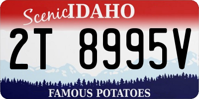 ID license plate 2T8995V