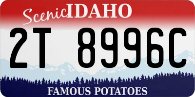 ID license plate 2T8996C