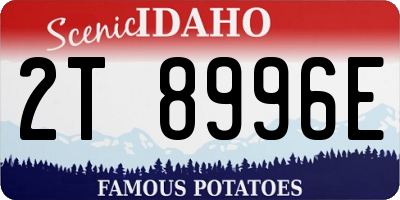 ID license plate 2T8996E