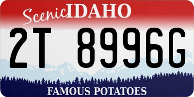ID license plate 2T8996G