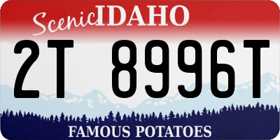 ID license plate 2T8996T