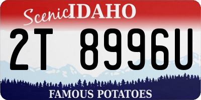 ID license plate 2T8996U
