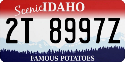 ID license plate 2T8997Z