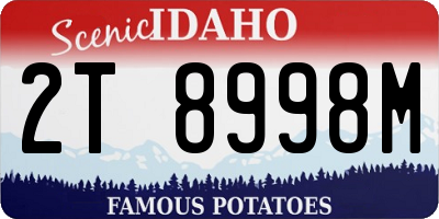 ID license plate 2T8998M