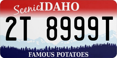 ID license plate 2T8999T