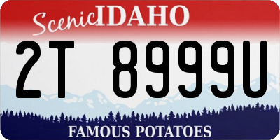 ID license plate 2T8999U