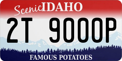 ID license plate 2T9000P