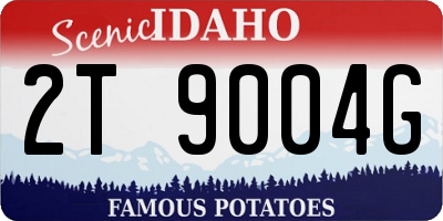 ID license plate 2T9004G