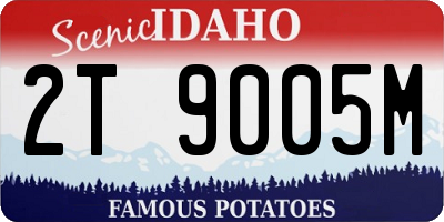 ID license plate 2T9005M
