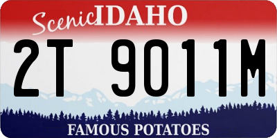 ID license plate 2T9011M