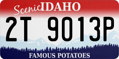 ID license plate 2T9013P