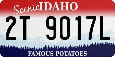 ID license plate 2T9017L