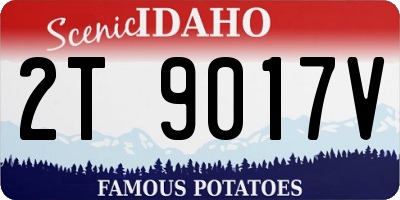 ID license plate 2T9017V