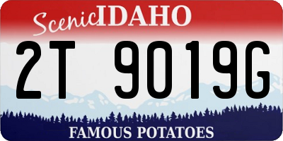 ID license plate 2T9019G