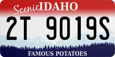 ID license plate 2T9019S