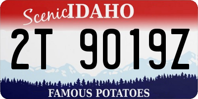 ID license plate 2T9019Z