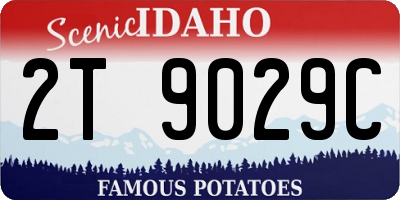 ID license plate 2T9029C