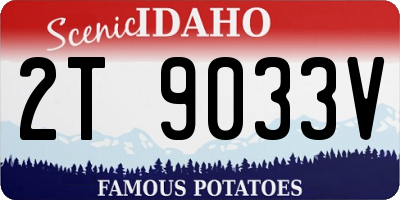 ID license plate 2T9033V