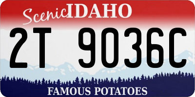ID license plate 2T9036C