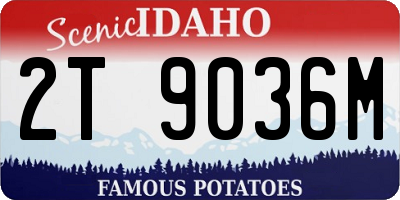ID license plate 2T9036M