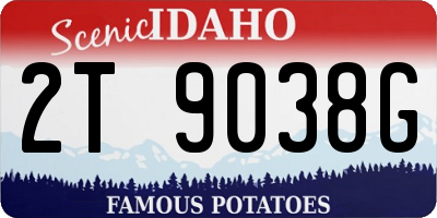 ID license plate 2T9038G
