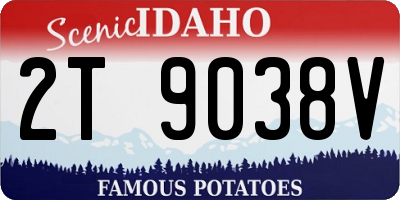 ID license plate 2T9038V
