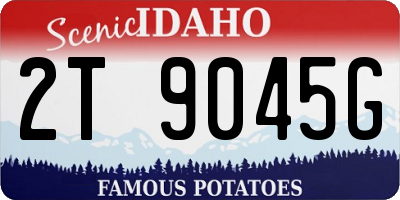 ID license plate 2T9045G