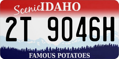 ID license plate 2T9046H