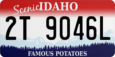 ID license plate 2T9046L