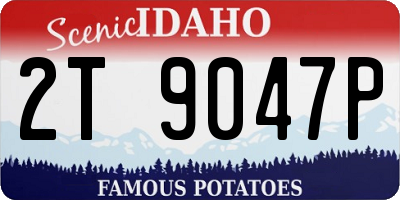 ID license plate 2T9047P