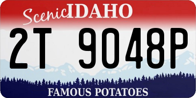 ID license plate 2T9048P