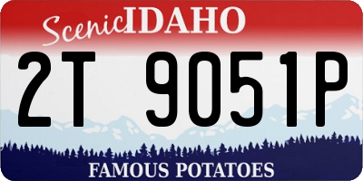 ID license plate 2T9051P