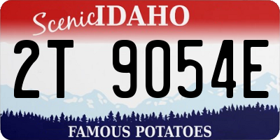 ID license plate 2T9054E