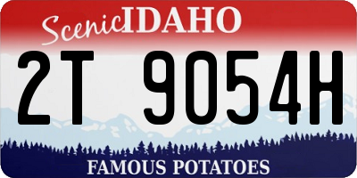 ID license plate 2T9054H