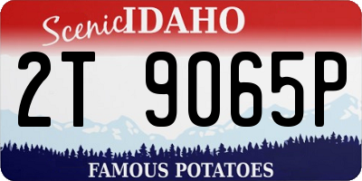 ID license plate 2T9065P