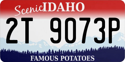 ID license plate 2T9073P