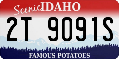 ID license plate 2T9091S