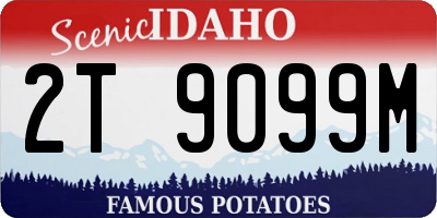 ID license plate 2T9099M