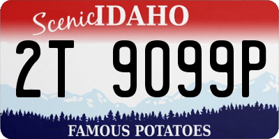 ID license plate 2T9099P