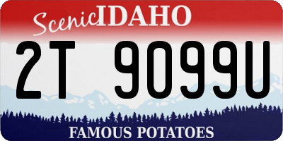 ID license plate 2T9099U