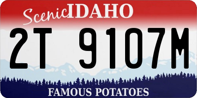 ID license plate 2T9107M