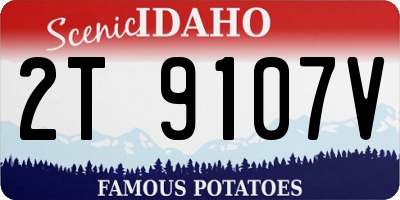 ID license plate 2T9107V
