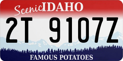 ID license plate 2T9107Z