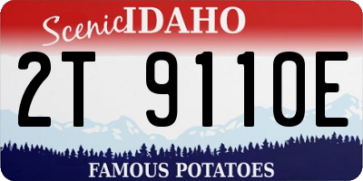 ID license plate 2T9110E