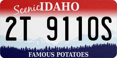 ID license plate 2T9110S