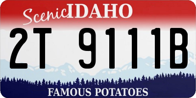 ID license plate 2T9111B