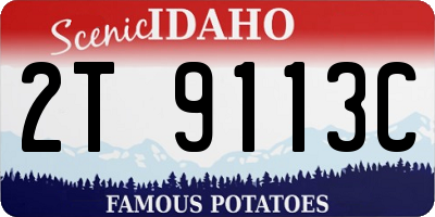 ID license plate 2T9113C