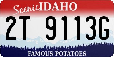 ID license plate 2T9113G