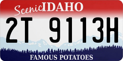 ID license plate 2T9113H