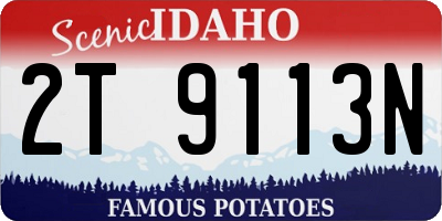 ID license plate 2T9113N